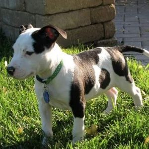 Meet your Posher, Jess